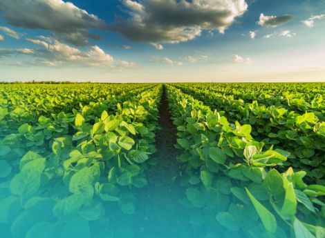 anticipi-pac-2026-aliquote-piu-alte-partenza-anticipata ConsulenzaAgricola -  Risposte efficaci per il mondo agricolo