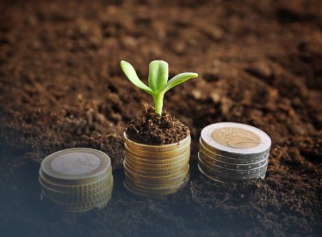 compendio-unico-quando-affitto-non-fa-perdere-agevolazione ConsulenzaAgricola -  Risposte efficaci per il mondo agricolo