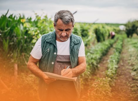 arrivo-banca-dati-appalti-agricoltura-2 ConsulenzaAgricola -  Risposte efficaci per il mondo agricolo