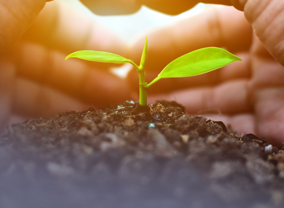 greenwashing-27-settembre-2026-stop-diciture-ambientali-generic_p97164 ConsulenzaAgricola -  Risposte efficaci per il mondo agricolo