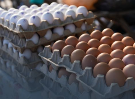 codici-cun-uova-fattura-elettronica-obbligo-25-giugno-24-agosto_p72452 ConsulenzaAgricola -  Risposte efficaci per il mondo agricolo