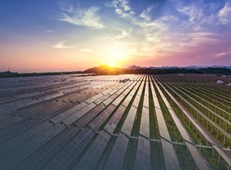 autoconsumo-fotovoltaico-azienda-come-cambia-dichiarazione-seme_p14546 ConsulenzaAgricola -  Risposte efficaci per il mondo agricolo