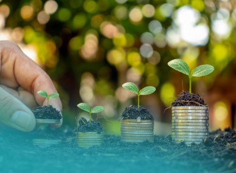 pgra-2026-nuove-disposizioni-polizze-agevolate-vitivinicoltura-_p47338 ConsulenzaAgricola -  Risposte efficaci per il mondo agricolo
