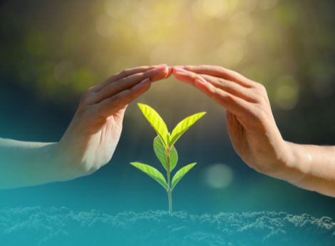 polizze-assicurazioni-agevolate-2025-informatizzazione-prorogat_p59796 ConsulenzaAgricola -  Risposte efficaci per il mondo agricolo