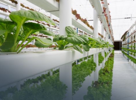 riforma-fiscale-agricola-quarto-correttivo-chiarisce-regole-ver_p45362 ConsulenzaAgricola -  Risposte efficaci per il mondo agricolo