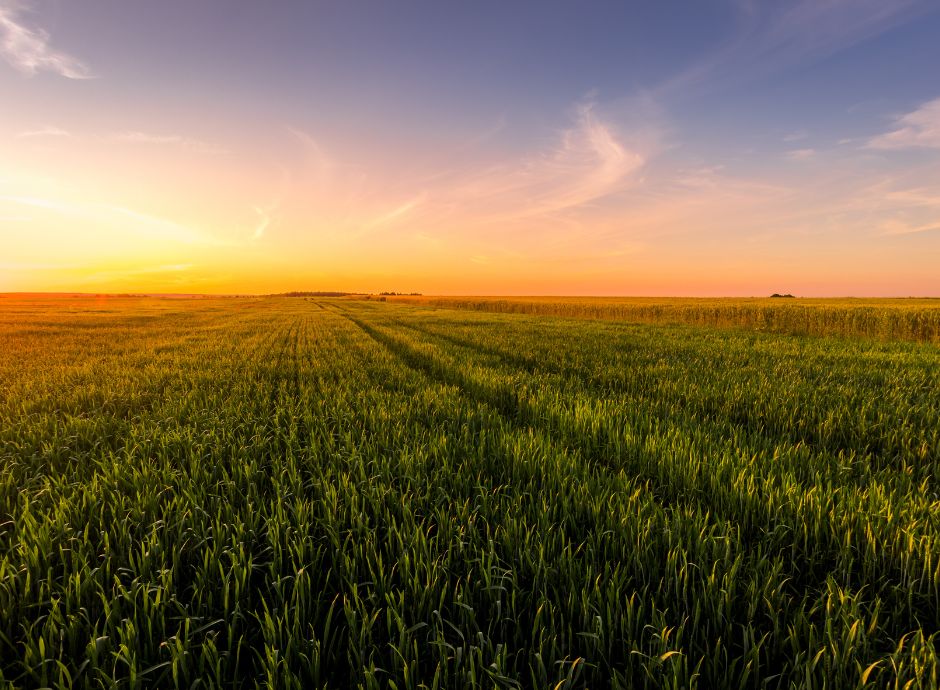 acquisto-fondo-rustico Circolari Fiscali