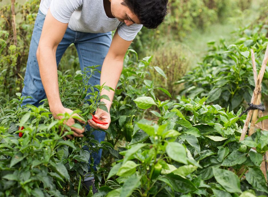 iscrizione-previdenziale Circolari Fiscali