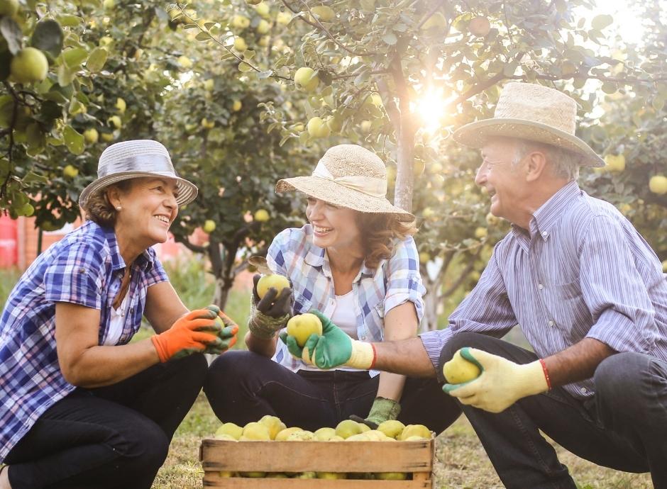 Piano D'azione Per Lo Sviluppo Della Produzione Biologica