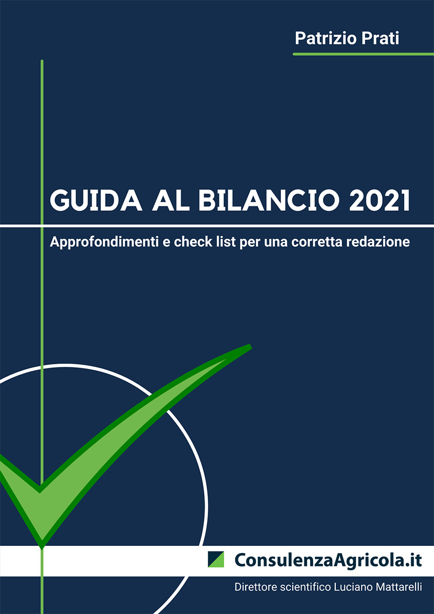 Guida al bilancio 2021
