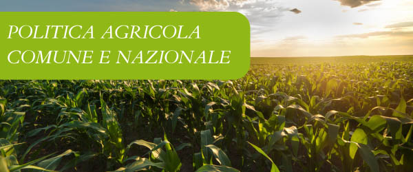 copertina Formazione | Eventi