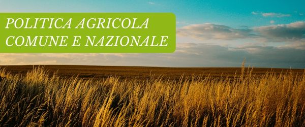 copertina Formazione | Eventi