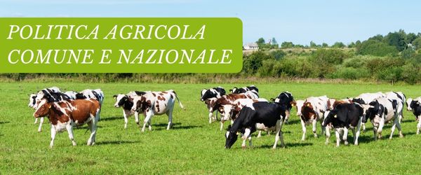 copertina Formazione | Eventi