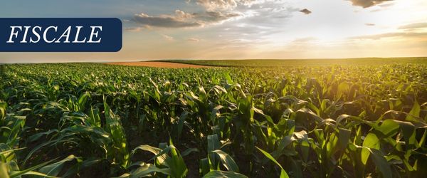 copertina Formazione | Eventi