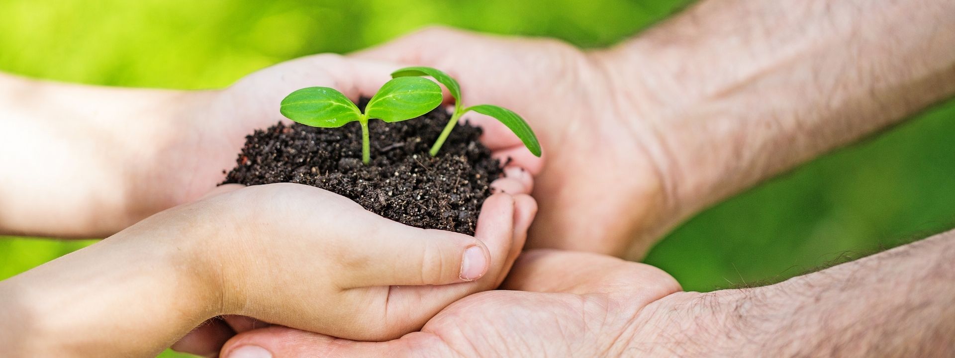 interna image Webinar