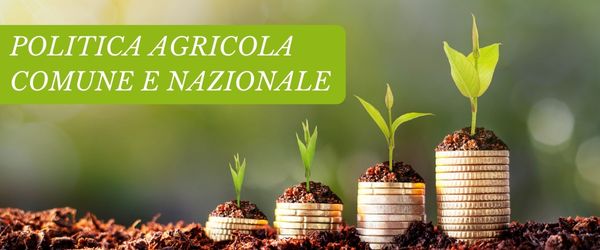 copertina Formazione | Eventi
