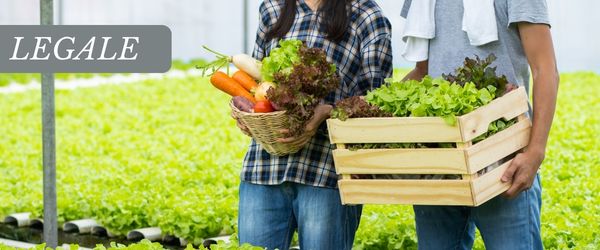 copertina Formazione | Eventi