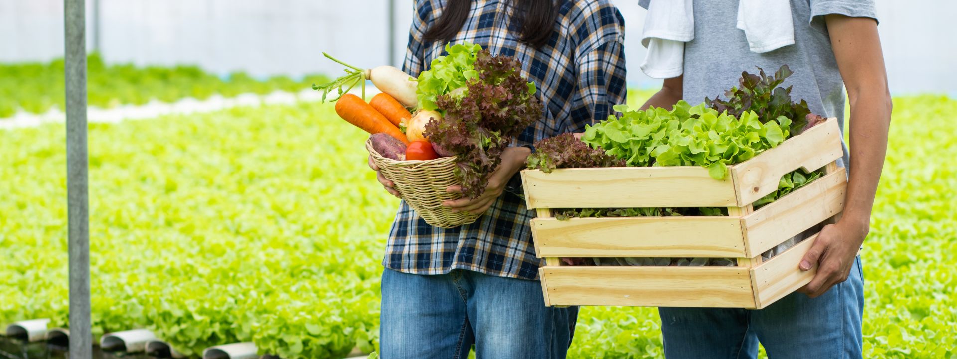 interna image Webinar