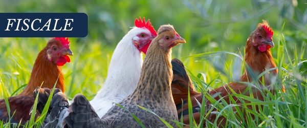 copertina Formazione | Eventi