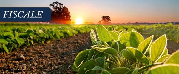 copertina Formazione | Eventi