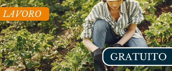 copertina Formazione | Eventi