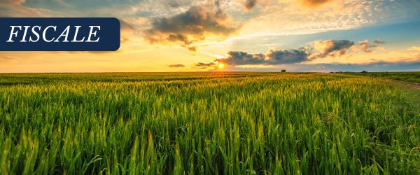 Agevolazioni terreni agricoli 2026: PPC, trasferimento terreni montani e passaggio generazionale