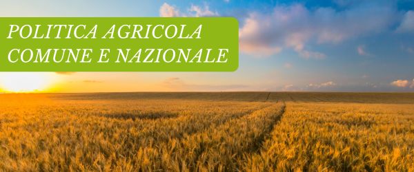 copertina Formazione | Eventi