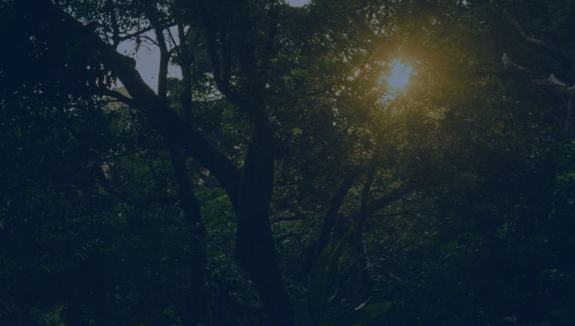 circolare-09-12-25 ConsulenzaAgricola.it - Risposte efficaci per il mondo agricolo