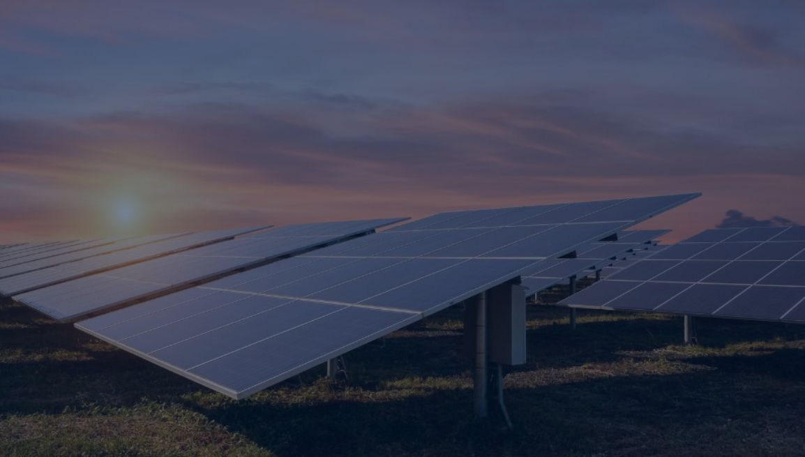 circolare-11-12-25-libera ConsulenzaAgricola.it - Risposte efficaci per il mondo agricolo