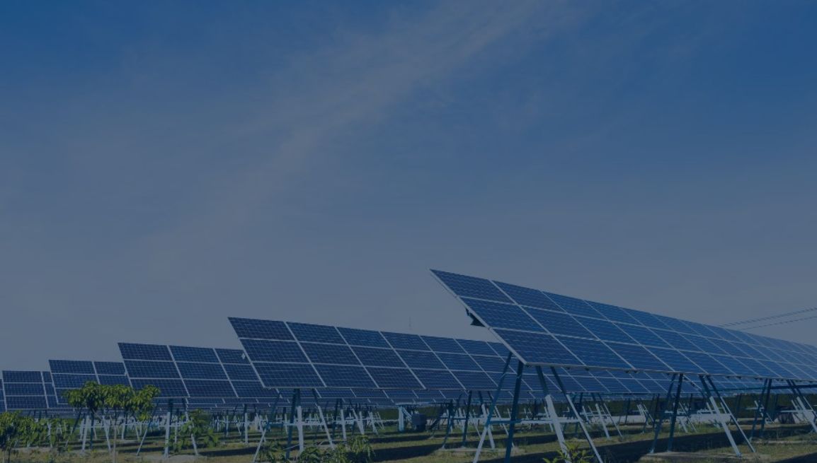 circolare-25-11-25 ConsulenzaAgricola -  Risposte efficaci per il mondo agricolo