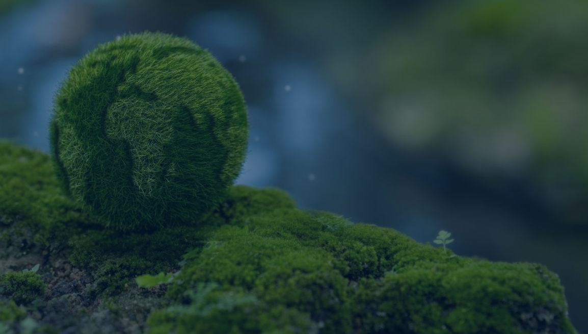 webinar-03-12-2025 ConsulenzaAgricola -  Risposte efficaci per il mondo agricolo