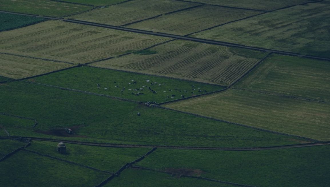 circolare-04-02-26-evidenza ConsulenzaAgricola -  Risposte efficaci per il mondo agricolo