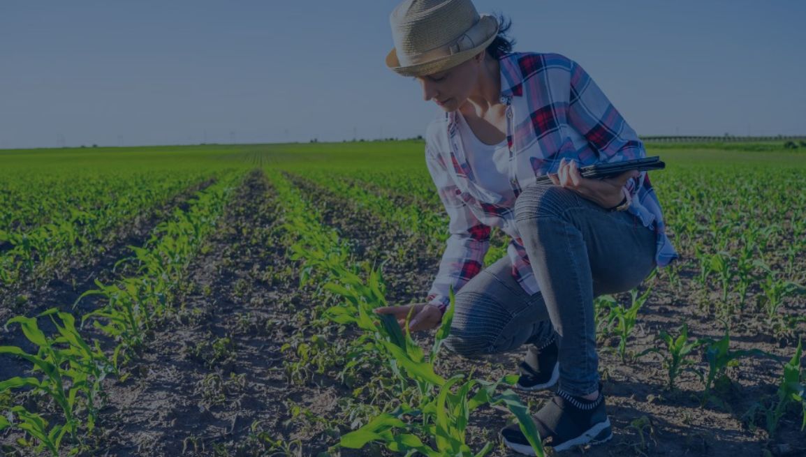 circolare-07-04-26 ConsulenzaAgricola -  Risposte efficaci per il mondo agricolo