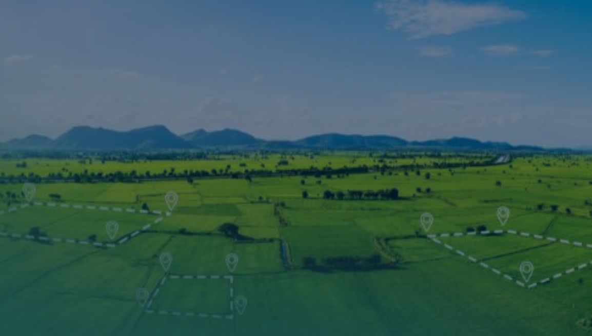 circolare-16-06-26 ConsulenzaAgricola -  Risposte efficaci per il mondo agricolo