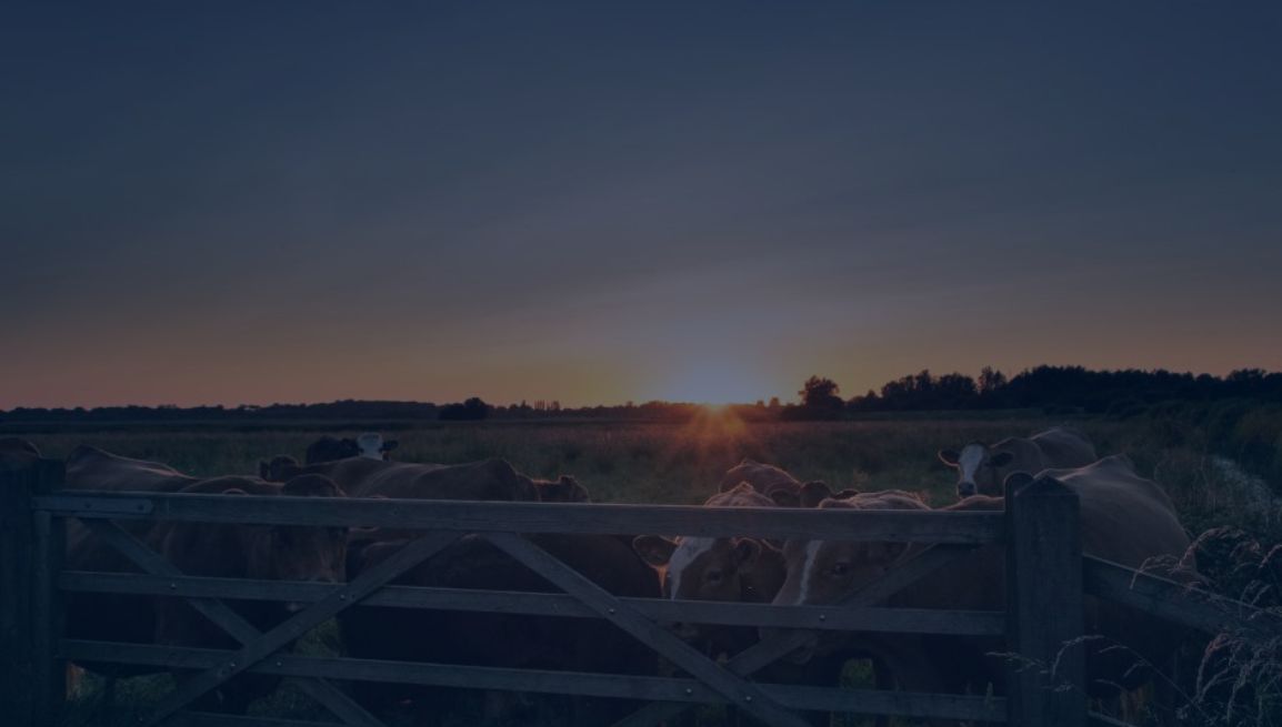 circolare-18-03-26 ConsulenzaAgricola -  Risposte efficaci per il mondo agricolo