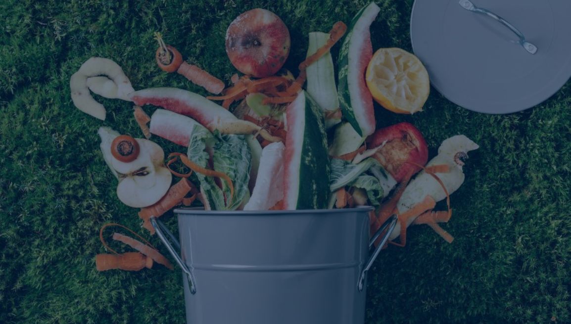 circolare-21-01-26 ConsulenzaAgricola -  Risposte efficaci per il mondo agricolo