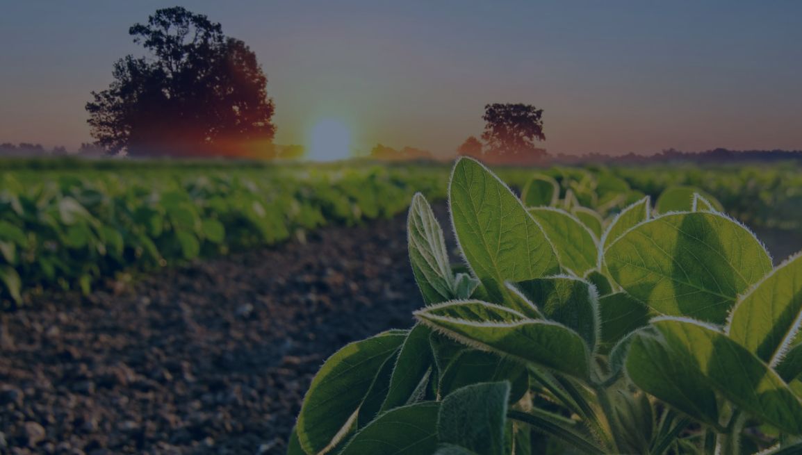 webinar-06-05-2026 ConsulenzaAgricola -  Risposte efficaci per il mondo agricolo