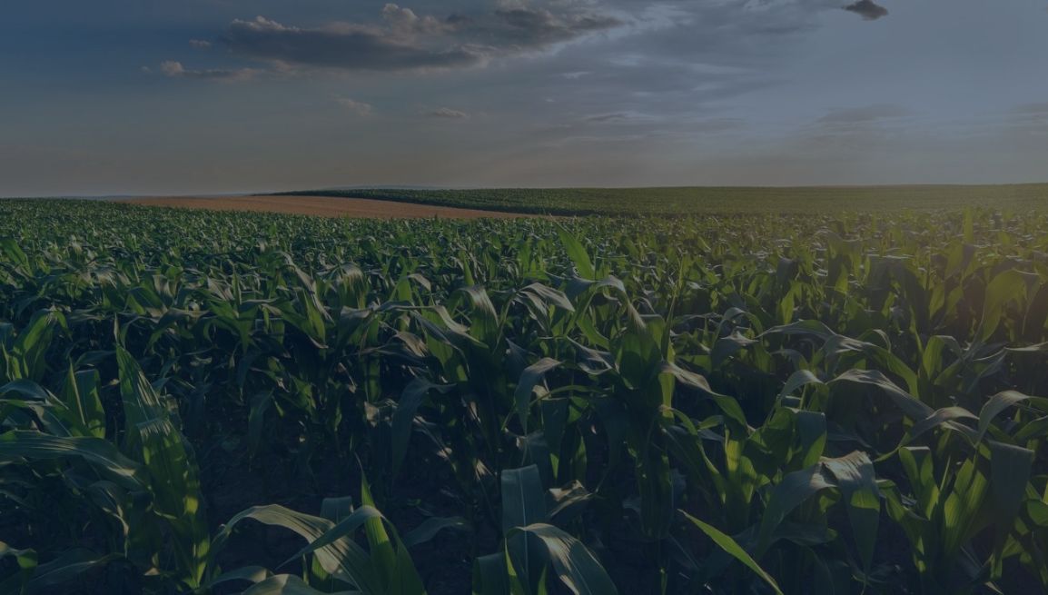 webinar-12-02-2026 ConsulenzaAgricola.it - Risposte efficaci per il mondo agricolo