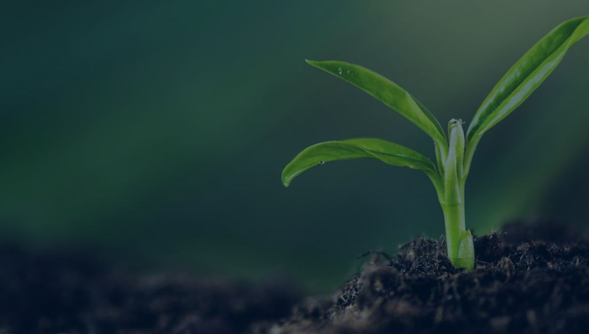 webinar-25-03-2026 ConsulenzaAgricola -  Risposte efficaci per il mondo agricolo