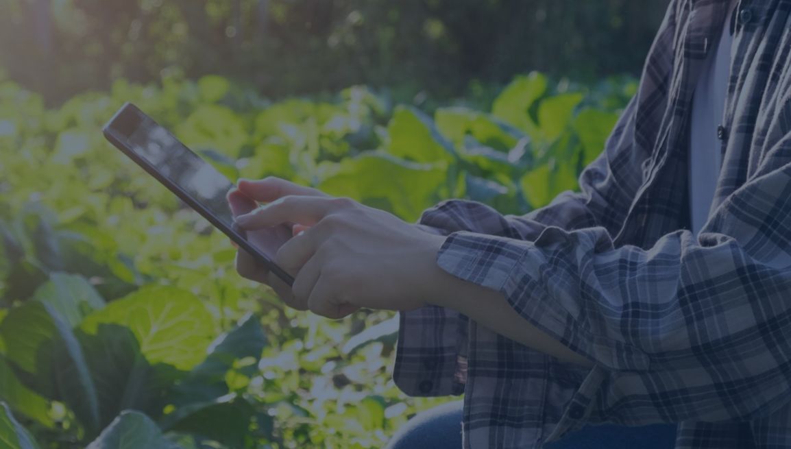 webinar-27-05-2026 ConsulenzaAgricola -  Risposte efficaci per il mondo agricolo