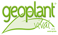 geoplant Eventi partner