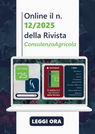 rivista-12-2025 Corrispettivi telematici. Che fare nei periodi di inattivit&agrave;?