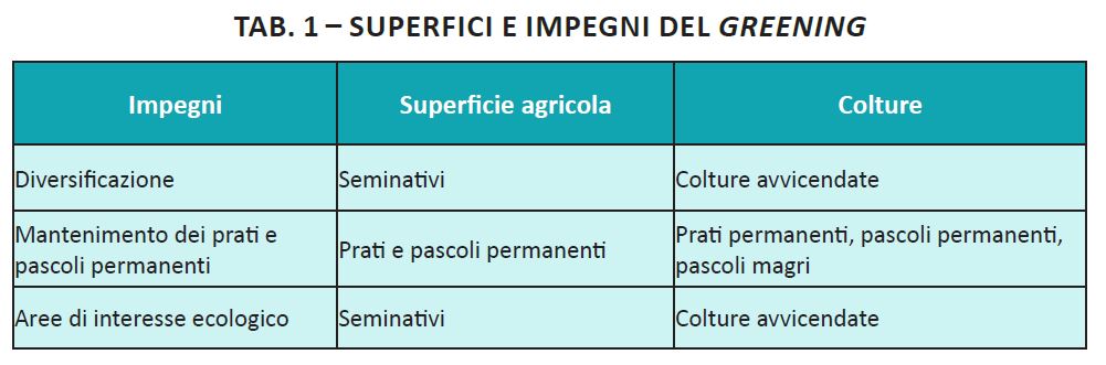 01-frascarelli image 01 frascarelli