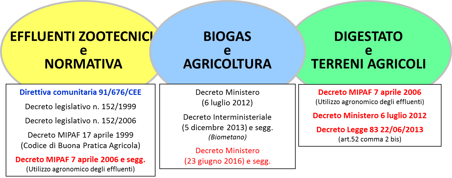 Figura 1 ragazzoni 01