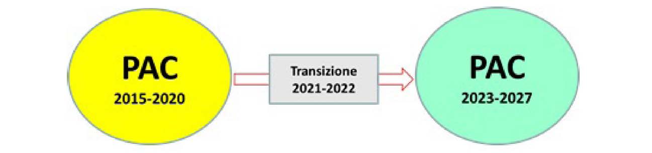 Immagine ragazzoni 01