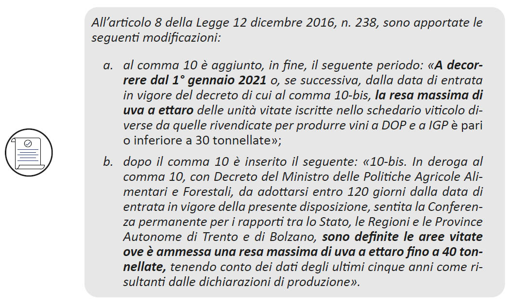 zinzani-01 image zinzani 01